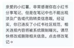 小紅書盲發筆記