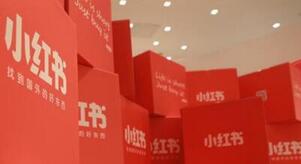 小紅書賬號(hào)權(quán)重