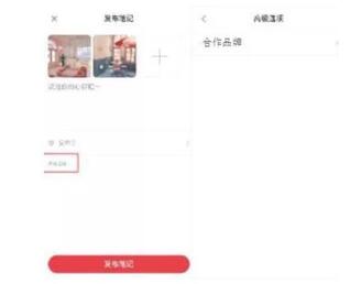 小紅書品牌賬號認(rèn)證 小紅書品牌賬號認(rèn)證