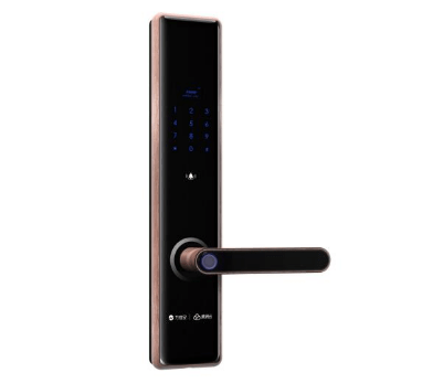 智能門鎖的廠家