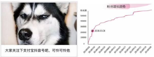 一條抖音為品牌帶來2.7億次曝光?企業抖音藍V最全攻略!2.jpg 一條抖音為品牌帶來2.7億次曝光?企業抖音藍V最全攻略!