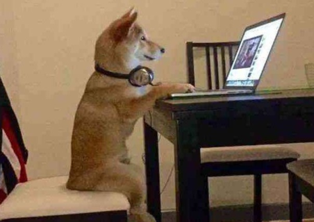 鳥哥筆記,用戶運(yùn)營,花花小萌主,分享,社交,抖音,分享,用戶運(yùn)營 為什么越來越多的人熱衷于在抖音追劇?