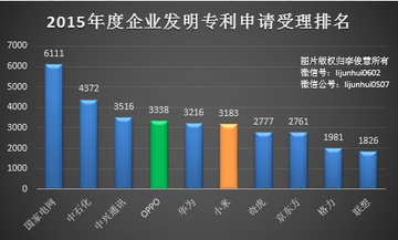 2015年度企業發明專利申請受理排名   