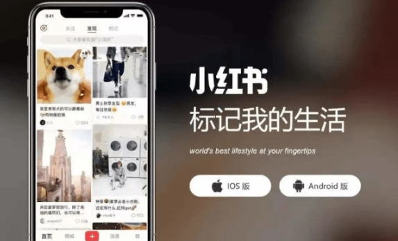 QQ截圖20201112142024.png QQ截圖20201112142024.png