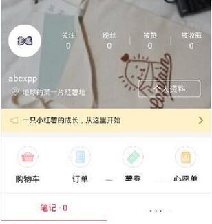 小紅書(shū)上如何看物流?怎么看不見(jiàn)?小紅書(shū)物流延遲更新怎么回事?
