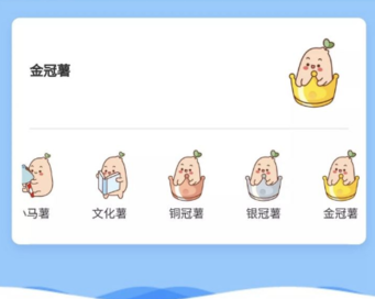 小紅書(shū)金冠薯權(quán)益