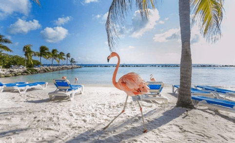 QQ截圖20210812173015.png QQ截圖20210812173015.png