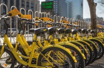 1697536078348.jpg 1697536078348.jpg